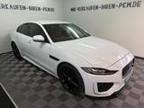 Jaguar XE R-Dynamic HSE*ACC*360*MERIDIAN*KEYLESS*TOP* - weiße Jaguar XE
