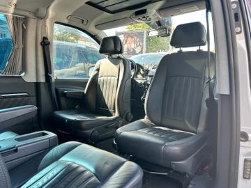 Mercedes Viano - 12