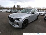 Mazda CX-60 2.5i E-Skyactive PHEV Homura AWD Aut. LED - gebrauchte Mazda CX-60 aus dem Jahr 2023