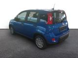 Fiat Panda City Paket DAB Spurhalteass. Verkehrszeich - Fiat Panda Jahreswagen