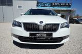 Skoda Superb Combi 1.4 TSI Active DSG |CarPlay| |Navi| - Skoda Superb: Weiß