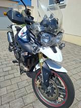 Triumph Tiger  800 - Offers matching your search criteria