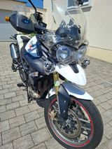 Triumph Tiger  800 - TRIUMPH GEBRAUCHT TIGER