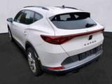 Cupra Formentor 2.0 TDI AHK*RFK*Navi*ACC*SHZ - Cupra Formentor bis 20.000 Euro