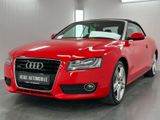 Audi A5 Cabriolet 3.0 TDI Quattro S-Line Xenon 19 Zol - Audi A5 aus 2011: Line