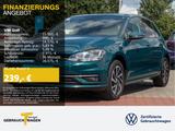 Volkswagen Golf 1.6 TDI DSG JOIN NAVI SITZHZG ACC - Volkswagen Golf: Grün