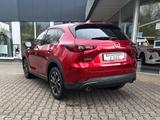 Mazda CX-5 2.5 M Hybrid Exclusive-Line Leder *BOSE*Nav - Mazda CX-5 Gebrauchtwagen in Dortmund