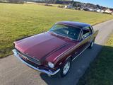 Ford Mustang orig. V8, Ponyausstattung,Servo neu - Ford Mustang aus 1966: Coupe