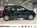 Fiat Pandina ICON 1.0 Klima PDC DAB USB teilb.Rücksb  - scheckheftgepflegte Fiat New Panda