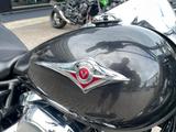 Kawasaki VN 900 Classic / Zustand wie neu / Garantie - Angebote
