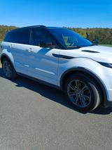 Land Rover Range Rover Evoque 2.0 TD4 110kW Pure Autom.... - Land Rover Range Rover Evoque von privat