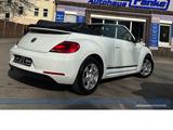Volkswagen Beetle 1.2 TSI DSG Cup*NAV*Xenon*SHZ*PDC*BT* - gebrauchte VW Beetle aus dem Jahr 2015