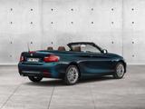 BMW 220i Luxury Line ""Leder Klima PDC 17"LM" - BMW: Cabrio