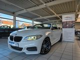 BMW M235i Cabrio HK Sound Bi Xenon Leder PDC - BMW: Sound