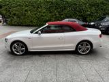 Audi S5 Cabriolet 3.0 TFSI *MTM*Audi-Exclusive* - Audi S5 aus 2010: Cabrio