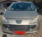 Peugeot 307 (Sportwagen) - Peugeot 307: Sport
