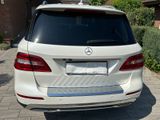 Mercedes-Benz ML 250 BlueTEC 4MATIC - - Mercedes-Benz ML 250 mit Diesel-Antrieb
