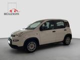 Fiat Panda 1.0 GSE + Techpaket - Fiat Panda mit Hybrid-Antrieb