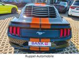 Ford Mustang 2.3Eco Navi Leder Black LED R-CAM - Ford Mustang Black Gebrauchtwagen
