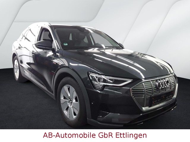 Audi e-tron 55 quattro NP: 111T¤