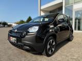 Fiat Panda City Plus 1.0 Mild Hybrid DAB Klima teilb. - Fiat Panda in Leverkusen