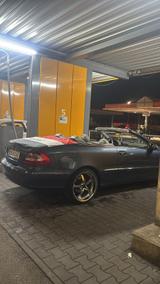 Mercedes-Benz CLK W209 Cabrio - Mercedes-Benz: Cabrio, Clk W209