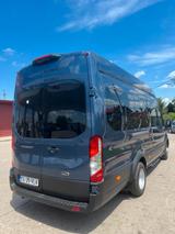 Ford Transit 2025 18 persoane - Ford Transit: 18