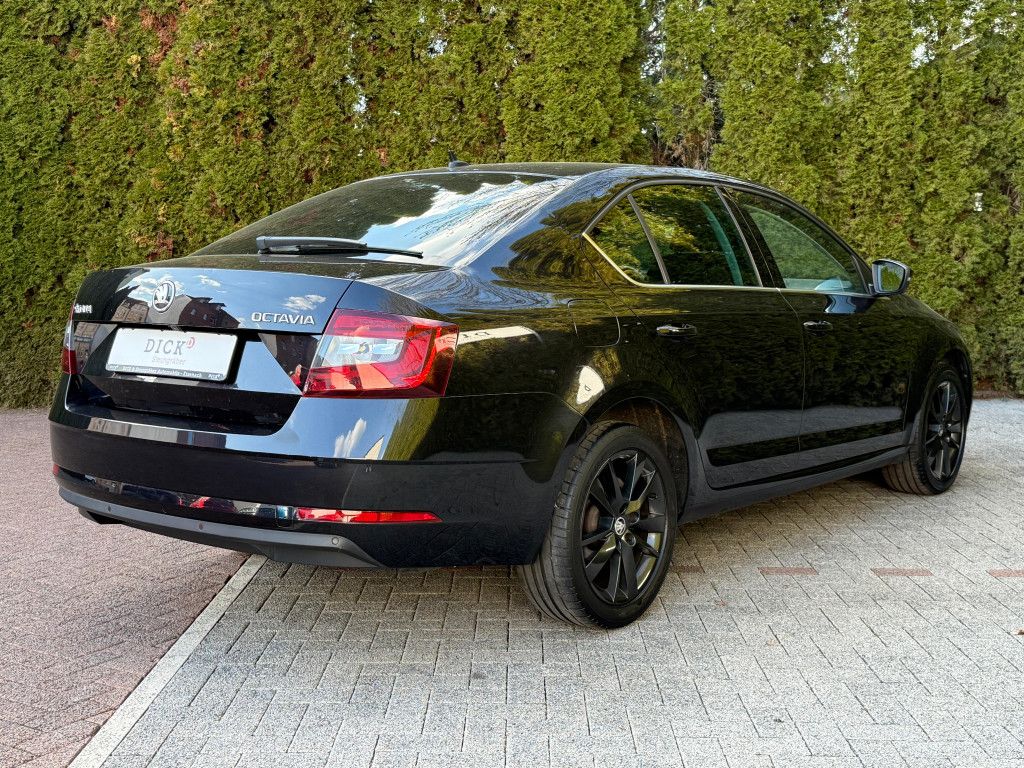Fahrzeugabbildung SKODA Octavia 1.6 TDI Premium Edition LED+KAM+TEMP+SHZ