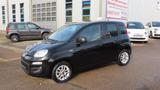 Fiat Panda Easy 1,2 69PS  Parksensoren+Zahnriemen neu - gebrauchte Fiat Panda aus dem Jahr 2018