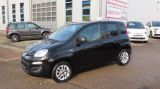 Fiat Panda Easy 1,2 69PS  Parksensoren+Zahnriemen neu - Fiat Panda aus 2018