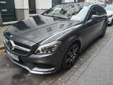 Mercedes-Benz CLS 350 Shooting Brake CLS 350 BlueTEC 4MATI...