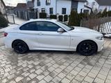 BMW M240i Coupé Autom. M-Performance Endtopf - BMW M240i: 240