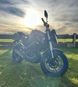 Yamaha MT-125 ABS mit Akrapovic Sportauspuffanlage - YAMAHA MT125