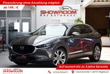 Mazda CX-30 Selection 2WD HeadUp Navi CarPlay 1.Hand - Mazda CX-30 Diesel Gebrauchtwagen