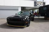 Dodge Challenger  R/T Scat Pack Widebody  6,4L V8 Carb - Dodge Challenger Tageszulassungen