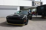 Dodge Challenger  R/T Scat Pack Widebody  6,4L V8 Carb - Dodge Challenger aus 2024