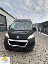 Bravia Swan 636 TOP Zustand - Bravia Kastenwagen