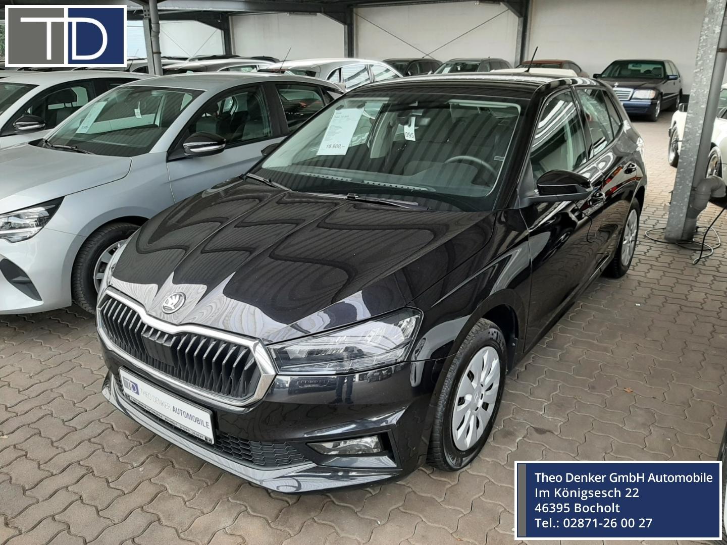 Skoda Fabia TSI DSG