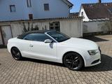 Audi Cabriolet - weiße Audi Cabriolet