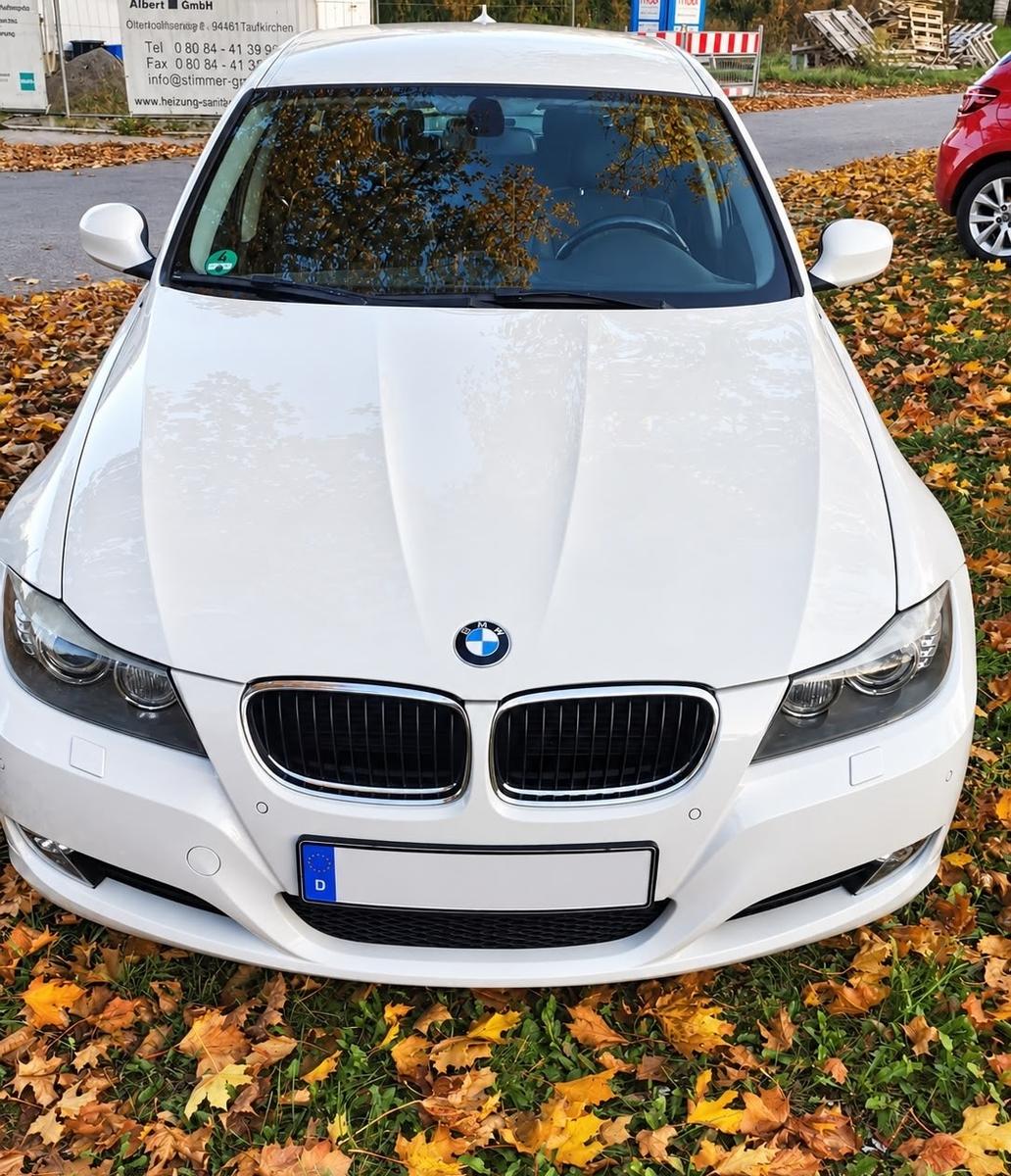 BMW 318 2011 — rear view