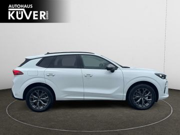 Cupra Terramar - 4