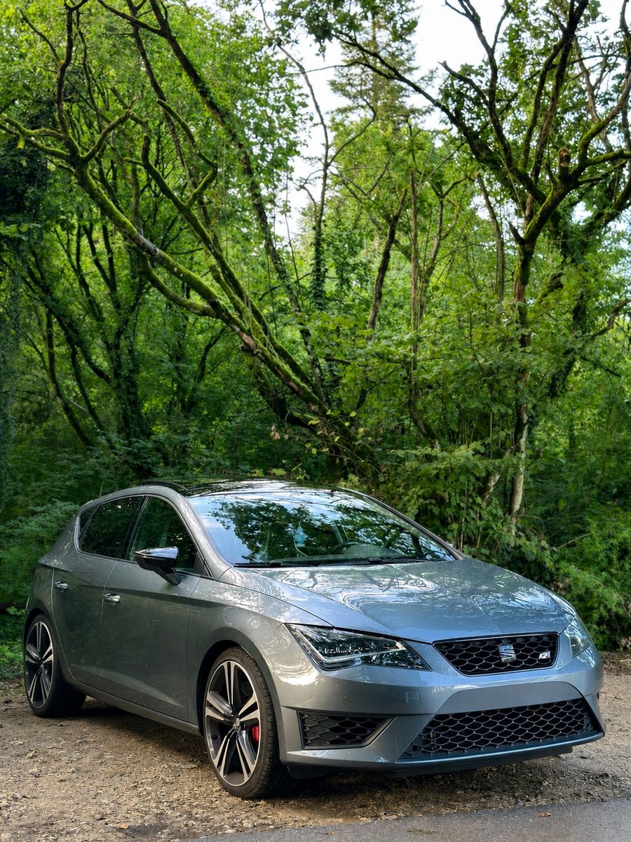SEAT Leon 2.0 TSI Start&amp;Stop ST CUPRA 290 DSG CUP...