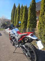Ducati Desert X Rally + Sportpaket *Service NEU* - DUCATI X DESERT