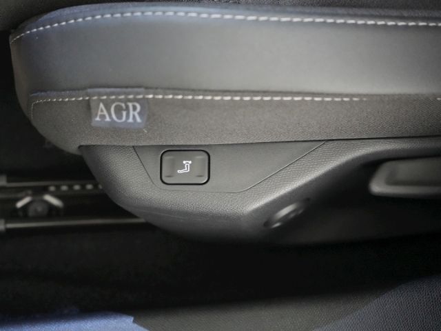 Astra L ST GS+AHK+360°KAMERA+AGR-SITZ+SITZ-/LENK
