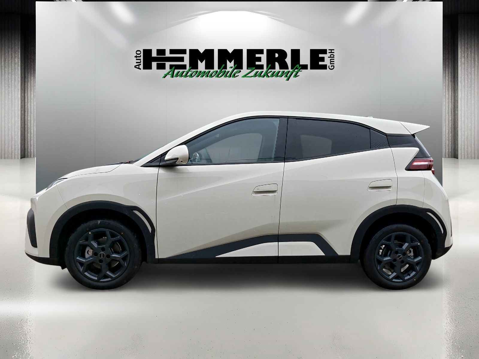 BYD DOLPHIN - Bild 2