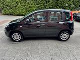 Fiat Panda 1.2 Easy *Nur 21.000 KM*TÜV-Neu* - Fiat Panda: Km 0