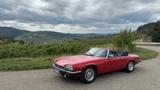 Jaguar XJS - gebrauchte Jaguar XJS aus dem Jahr 1989