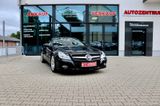 Mercedes-Benz SL 300 Leder Obsidianschw. Navi PTS Edelholz