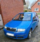 Skoda Fabia 6y - Skoda Fabia: 6y