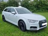 Audi A4 Allroad 3.0 TDI tiptronic quattro Avant - - Audi A4 Allroad: 3.0